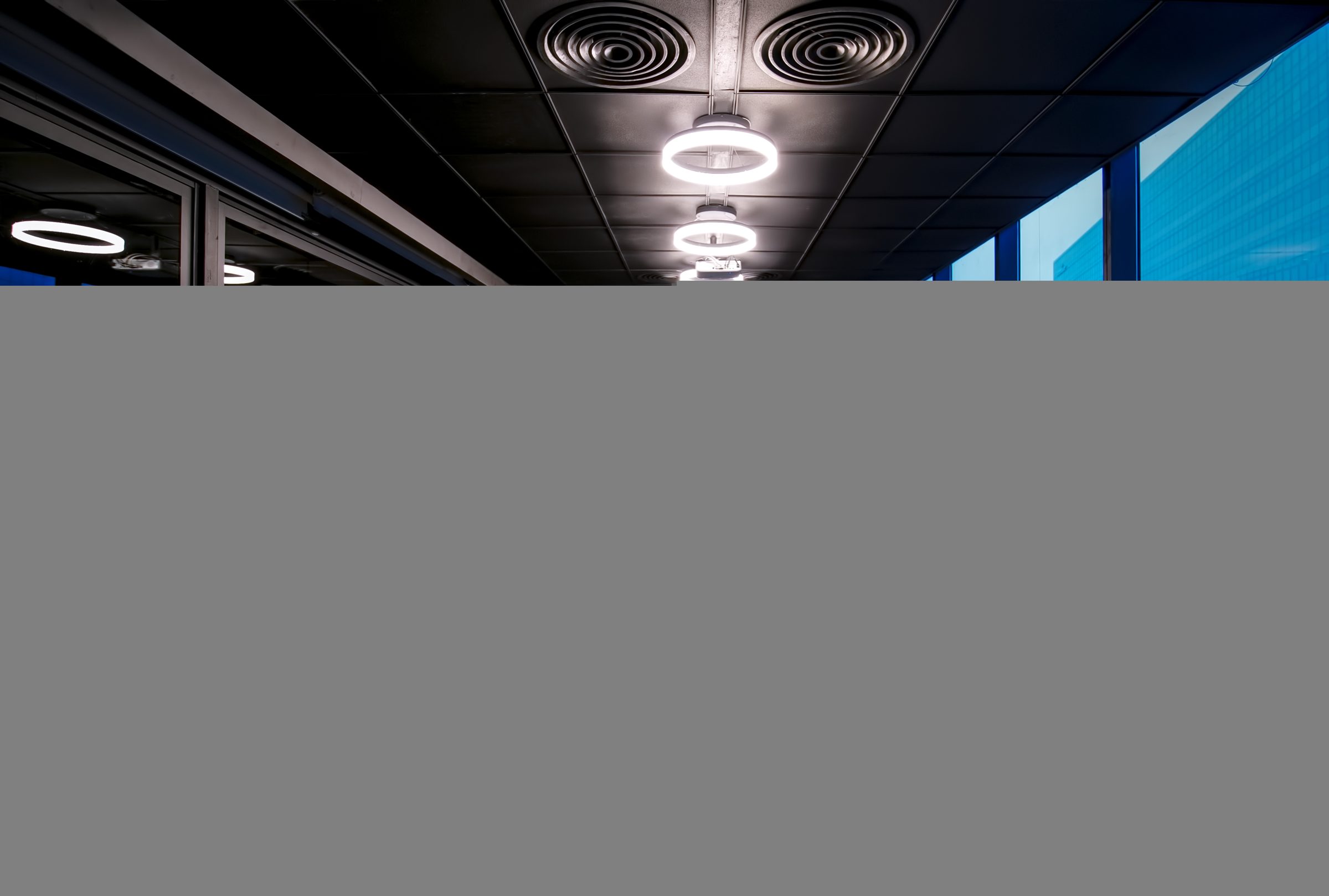 Digital Domain, view 7